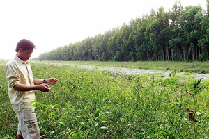 Đồng Nai: Cần 500 tỷ đồng trồng rừng cảnh quan