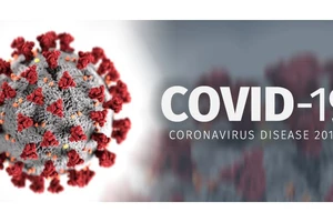 WHO cho rằng “rất nhiều khả năng” virus SARS-CoV-2 xuất phát từ động vật