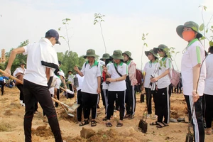 Trường học hưởng ứng Tết trồng cây năm 2020