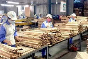 Doanh nghiệp chế biến gỗ nhận nhiều đơn hàng nhưng khó tuyển dụng lao động 