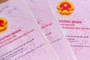 Bà Rịa - Vũng Tàu: Phát hiện nhiều giấy chứng nhận quyền sử dụng đất giả