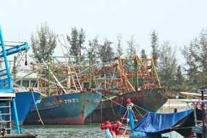 Tàu vỏ thép của ông Lê Tuyên (Quảng Nam) nằm bờ cả năm nay, bị gỉ sét. Ảnh: NGỌC PHÚC