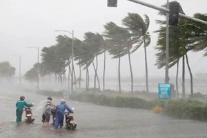 16 giờ ngày 5-11, bão số 10 mạnh cấp 8, giật cấp 10 ngay trên vùng biển từ Quảng Ngãi đến Khánh Hòa