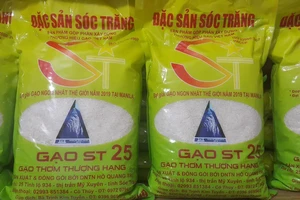 Tìm “đáp án đẹp” cho gạo thơm Việt Nam