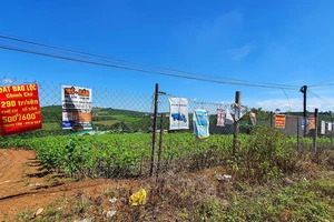 Phân lô, xây dựng trên đất nông nghiệp tại Lâm Đồng. Ảnh: ĐOÀN KIÊN