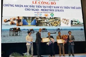 Chứng nhận ASC đầu tiên trên thế giới cho nghêu trắng của Việt Nam