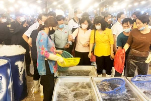 Ban Kinh tế - Ngân sách HĐND TPHCM giám sát an toàn thực phẩm tại chợ đầu mối Bình Điền