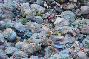 Triển khai kế hoạch hành động quản lý rác thải nhựa