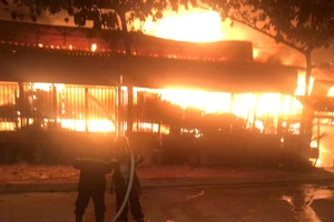 Vụ cháy tối 14-1 thiêu rụi gần hết xưởng gỗ tại quận 12, TPHCM 