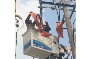 Nhân viên Tổng công ty Điện lực TPHCM đang sửa chữa trên đường dây đang mang điện