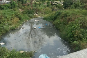 Rạch Suối Nhum đoạn qua Đại học Quốc gia TPHCM vẫn còn nguyên trạng, vừa ô nhiễm lại mất mỹ quan
