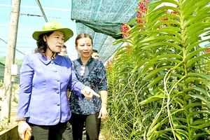 Đồng chí Nguyễn Thị Lệ trong chuyến khảo sát hoạt động nông nghiệp tại huyện Củ Chi. Ảnh: VIỆT DŨNG