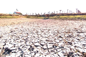 Tây Nguyên - Nam Trung bộ ứng phó nguy cơ sa mạc hóa - Bài 1: Suy kiệt nguồn nước