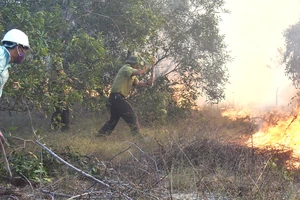 Lực lượng kiểm lâm và ban cấp bách PCCC rừng ở Quảng Bình dập lửa một vụ cháy rừng ven biển trong năm 2021. Ảnh: MINH PHONG
