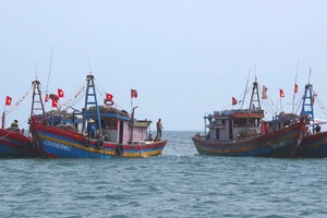 Các tàu giã cào đánh bắt sai vùng biển quy định bị bắt giữ
