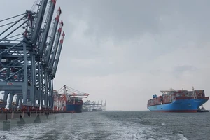 Bà Rịa - Vũng Tàu: Hàng hóa container qua cảng biển tăng 38%