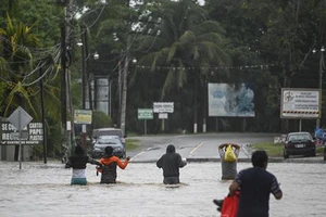 Cảnh ngập lụt sau những trận mưa lớn do ảnh hưởng của bão tại Las Posas, Guatemala