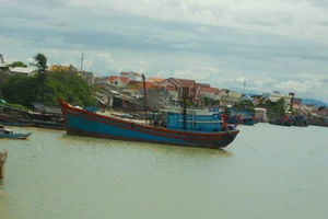 Quảng Ngãi: Gần 160 tỷ đồng đầu tư Khu tránh trú bão tàu cá kết hợp cảng cá Cổ Lũy
