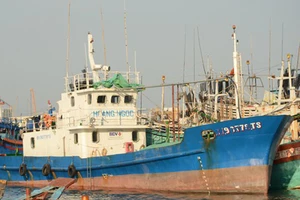 Bà Rịa - Vũng Tàu: Giãn nợ cho doanh nghiệp và chủ tàu cá