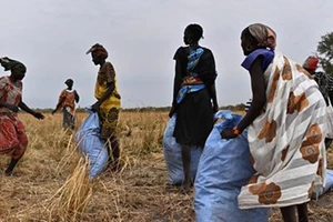 WFP giảm viện trợ lương thực cho Nam Sudan
