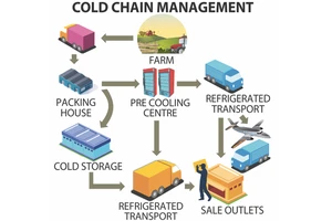 Phát triển chuỗi cung ứng lạnh để tiết kiệm thực phẩm