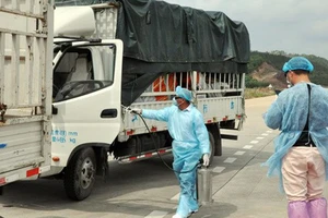 Trung Quốc tạm dừng nhập khẩu hàng hóa qua các cửa khẩu ở TP Móng Cái (Quảng Ninh)