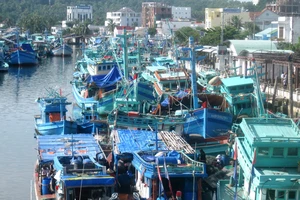 Một đội tàu đánh bắt hải sản ở tỉnh Kiên Giang