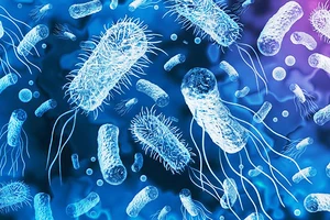 Phát hiện “khắc tinh” của tình trạng kháng kháng sinh