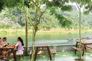 Cây sưa trong nhà vườn ông Hồ Khanh, thị trấn Phong Nha, Bố Trạch, Quảng Bình. Ảnh: MINH PHONG