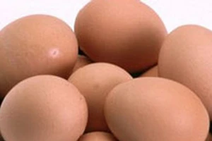 ĐBSCL: Giá trứng gia cầm giảm