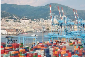 Vụ nghi lừa đảo xuất khẩu nhân điều sang Italy: Đã giữ tại cảng 16 container