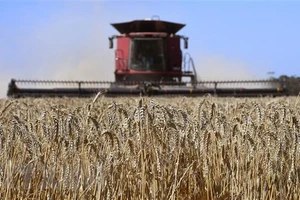 Nga tuyên bố chỉ xuất khẩu lương thực tới các nước thân thiện