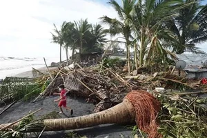 Cây cối gãy đổ do bão Rai tại thị trấn Dulag, tỉnh Leyte (Philippines) 