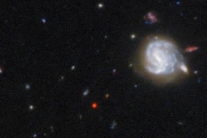 Kính viễn vọng không gian Hubble cho thấy GNz7q là chấm đỏ. Ảnh : NASA