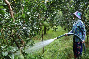  Chủ động nước ngọt đảm bảo cho sản xuất nông nghiệp trong suốt mùa khô ở ĐBCSL