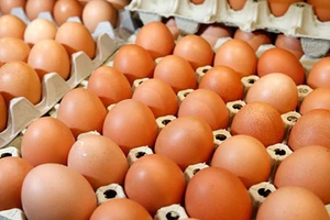 Giá trứng gia cầm tại ĐBSCL tăng