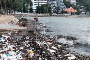 Khi bãi biển Vũng Tàu ngập rác