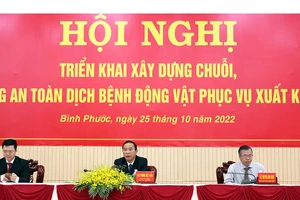 Xây dựng chuỗi, vùng chăn nuôi an toàn phục vụ xuất khẩu