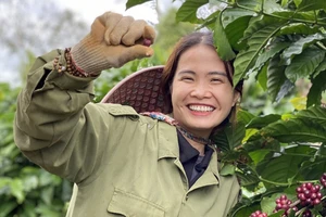 TikTok Hana Ban Mê giới thiệu nông sản địa phương