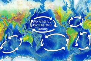 Ảnh minh họa vòng hải lưu Bắc Thái Bình Dương