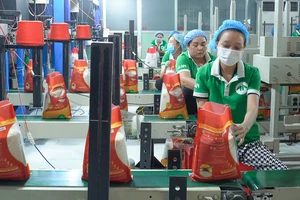  Công ty cổ phần Tập đoàn Tân Long đóng gói gạo với thương hiệu A An. Ảnh: THANH HẢI