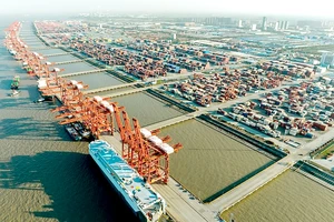 Cảng Taicang, tỉnh Giang Tô, phía Đông Trung Quốc, nhộn nhịp vào tháng 3-2023. Ảnh: XINHUA