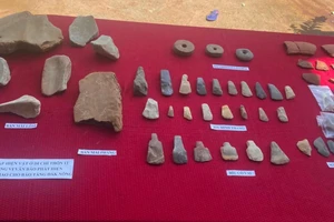 Phát hiện hiện vật người tiền sử niên đại 3.500-3.000 năm