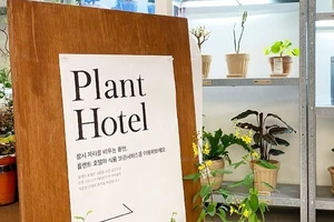 Khách sạn cây trồng Plant Hotel