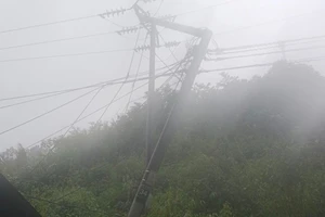 Điện lực miền Bắc thiệt hại nặng nề do mưa lũ