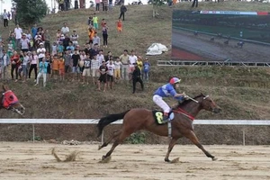 CTCP đua ngựa Thiên Mã - Mađagui xây “lụi” 16 công trình bị xử lý