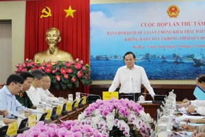 Phó Thủ tướng Chính phủ Trần Lưu Quang phát biểu. Ảnh: TTXVN