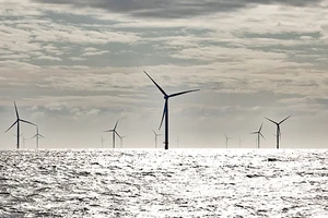 Một trang trại điện gió ngoài khơi của Orsted. Ảnh: ORSTED