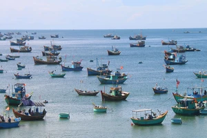 Từ năm 2019 đến nay, tỉnh Bình Thuận hỗ trợ hơn 800 tỷ đồng giúp ngư dân vươn khơi bám biển 