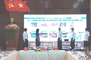 Quảng Nam ra mắt sàn thương mại điện tử về sâm và dược liệu